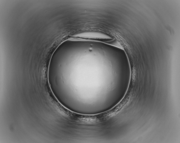 X0000112880449200909041644