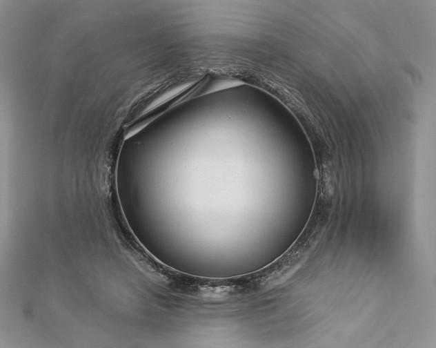 X0000112880450200909041644