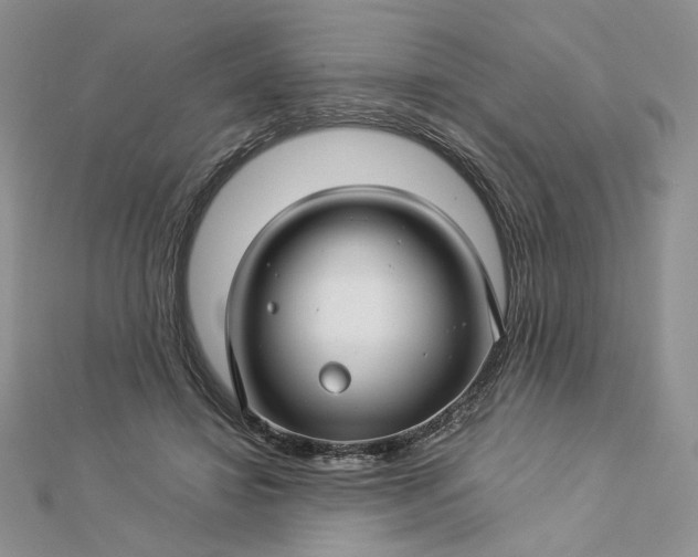 X0000112880452200909041644