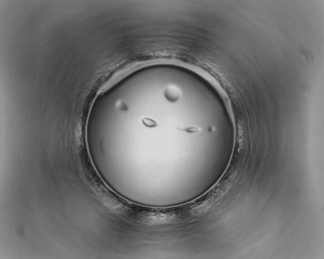 X0000112880453200909041644