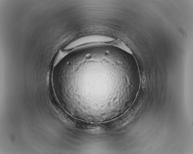 X0000112880454200909041644