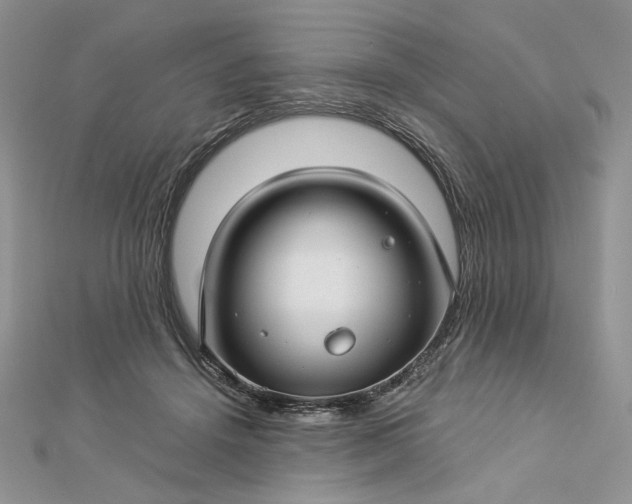 X0000112880456200909041644