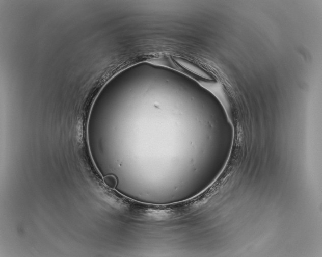 X0000112880457200909041644