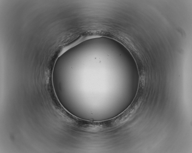 X0000112880458200909041644