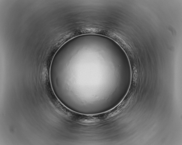 X0000112880459200909041645