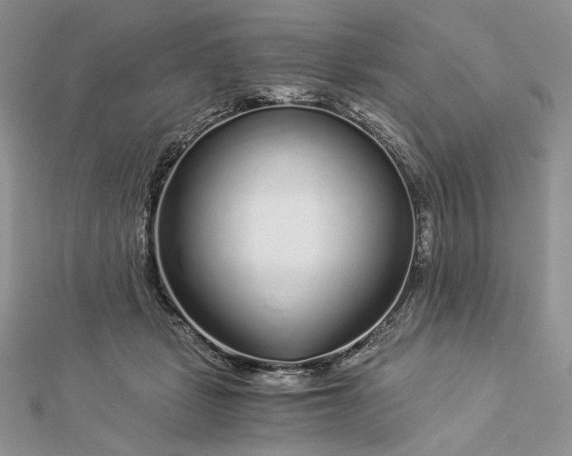 X0000112880461200909041645