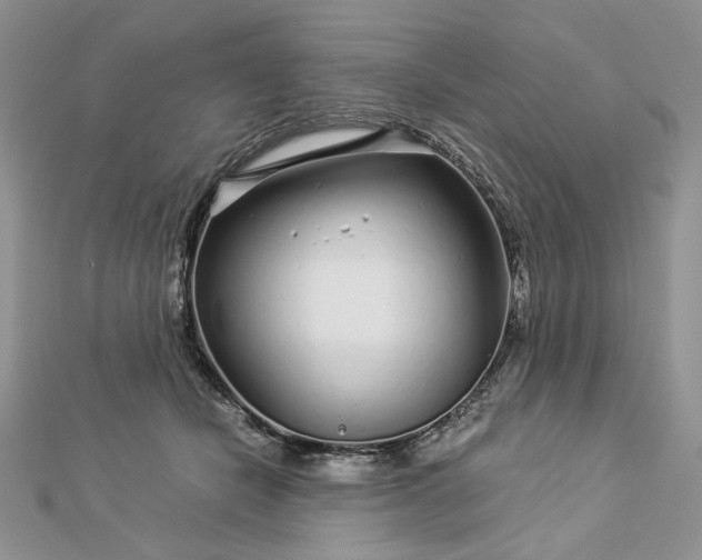 X0000112880462200909041645