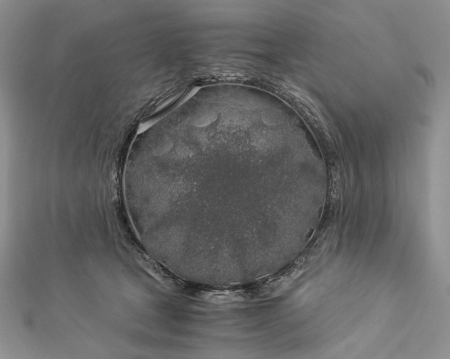 X0000112880465200909041645