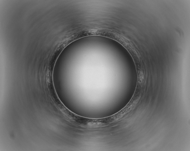 X0000112880470200909041645