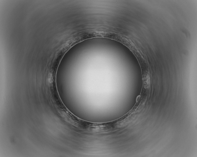 X0000112880472200909041645