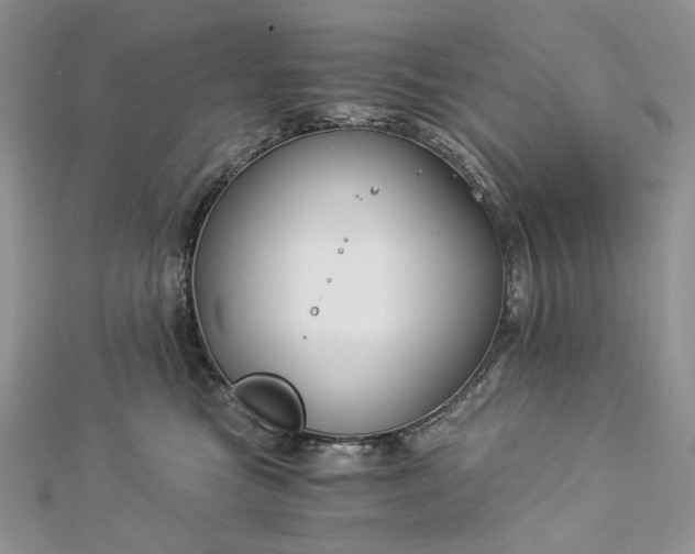 X0000112880473200909041645