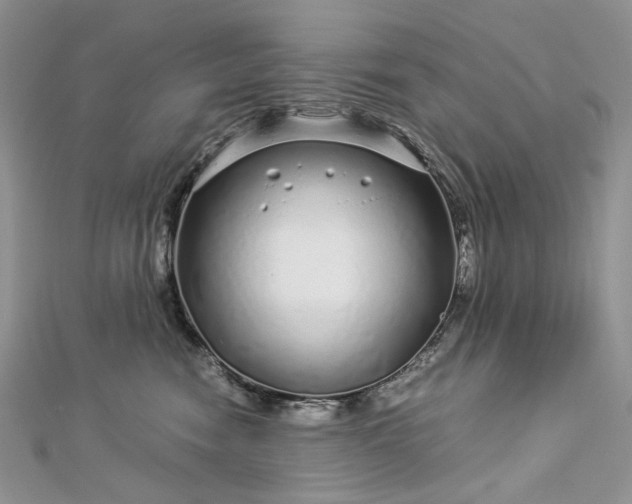 X0000112880474200909041645