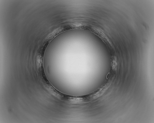 X0000112880476200909041645