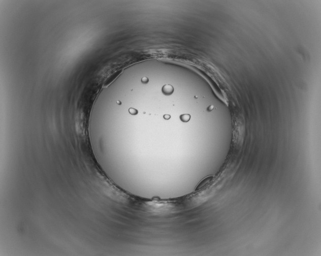 X0000112880477200909041645