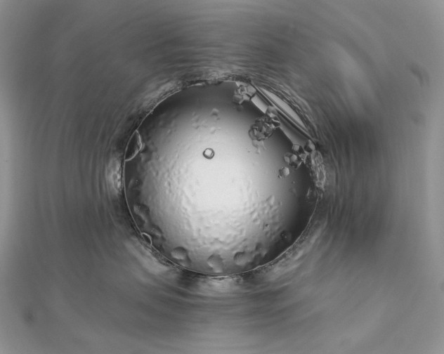 X0000112880479200909041645