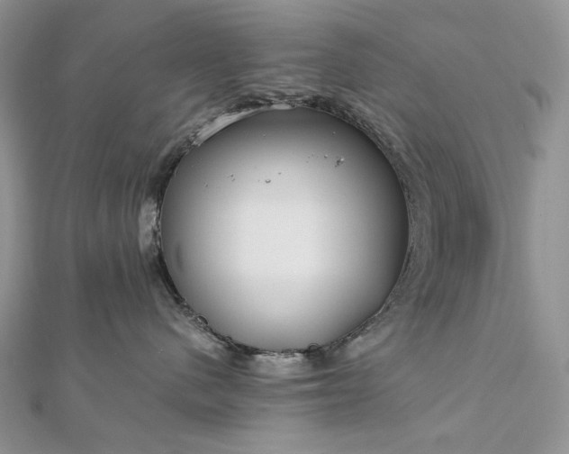 X0000112880480200909041645