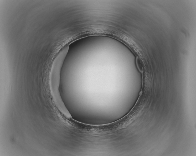 X0000112880481200909041644