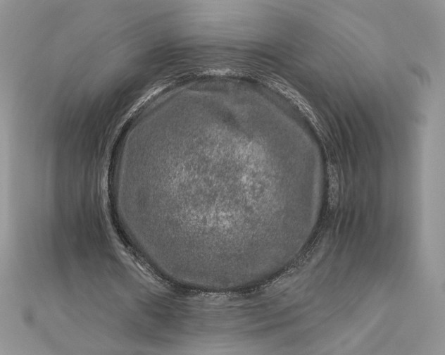 X0000112880482200909041644