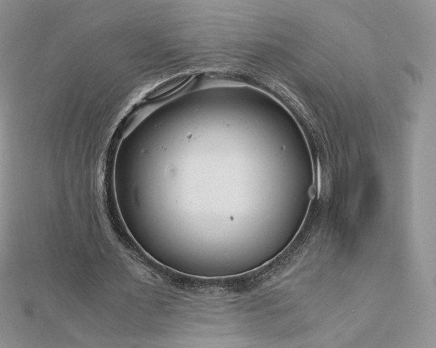 X0000112880483200909041644