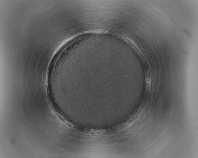 X0000112880484200909041644