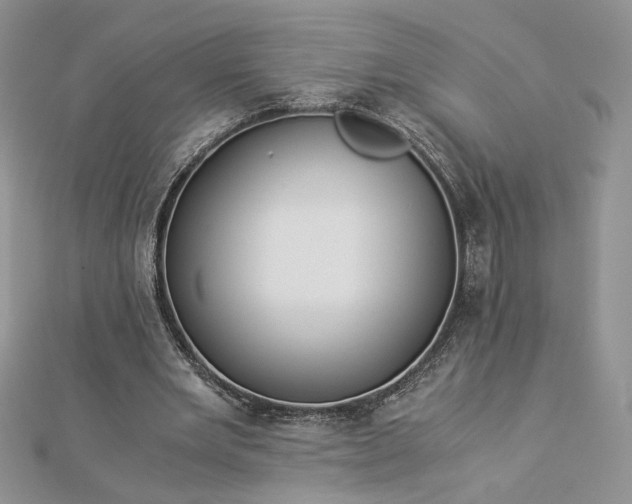 X0000112880485200909041644