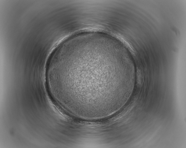 X0000112880486200909041644