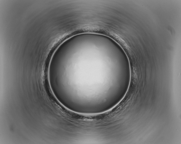 X0000112880487200909041644