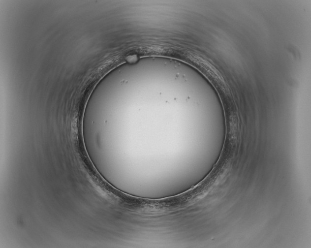 X0000112880489200909041644