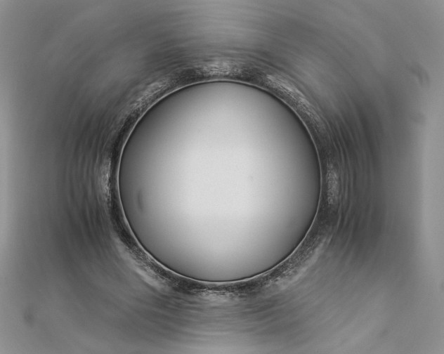 X0000112880490200909041644