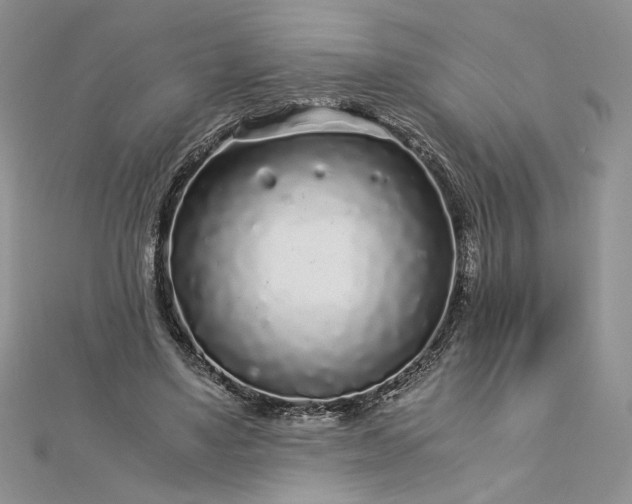 X0000112880491200909041644