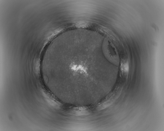 X0000112880492200909041644