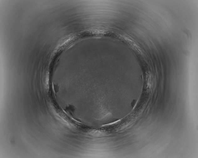 X0000112880494200909041644