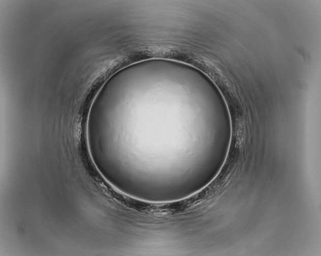 X0000112880495200909041644