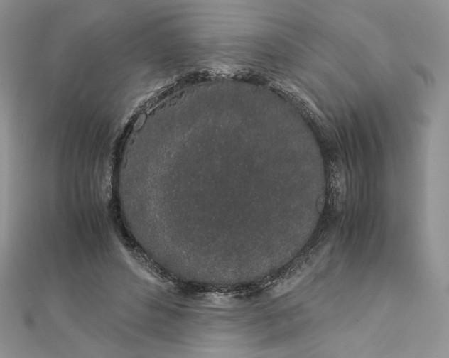 X0000112880496200909041644