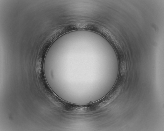 X0000112880497200909041644