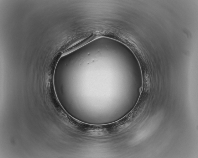 X0000112880499200909041644