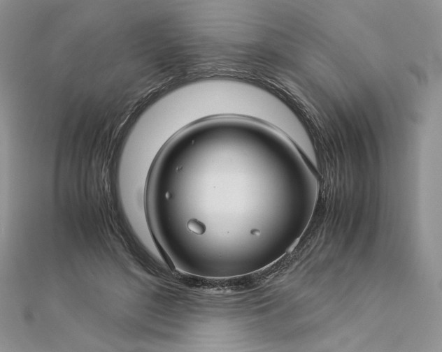 X0000112880500200909041644