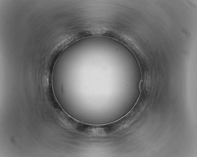 X0000112880501200909041644