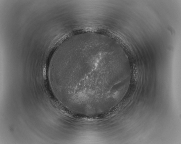 X0000112880502200909041644