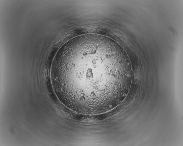 X0000112880503200909041644