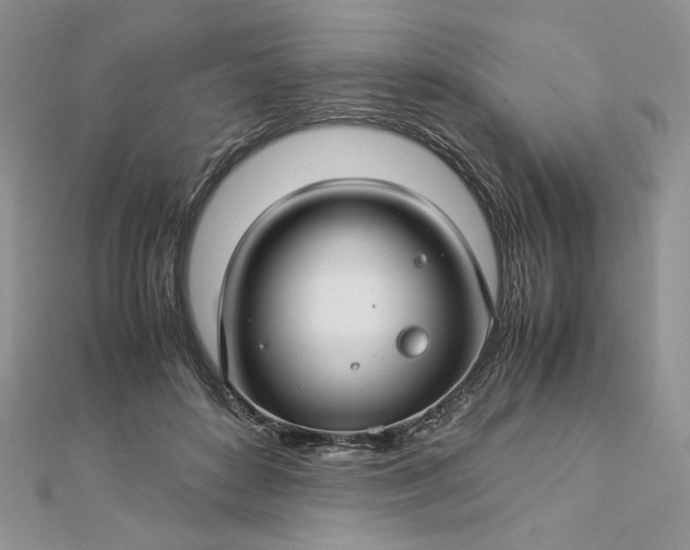 X0000112880504200909041644