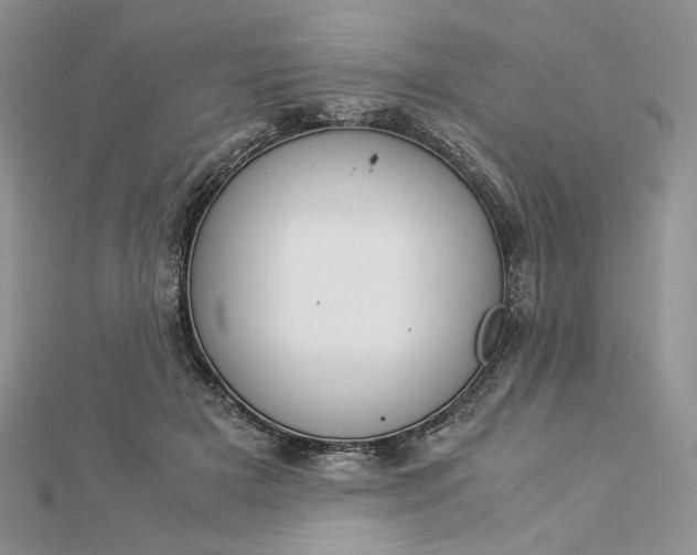 X0000112880505200909041644