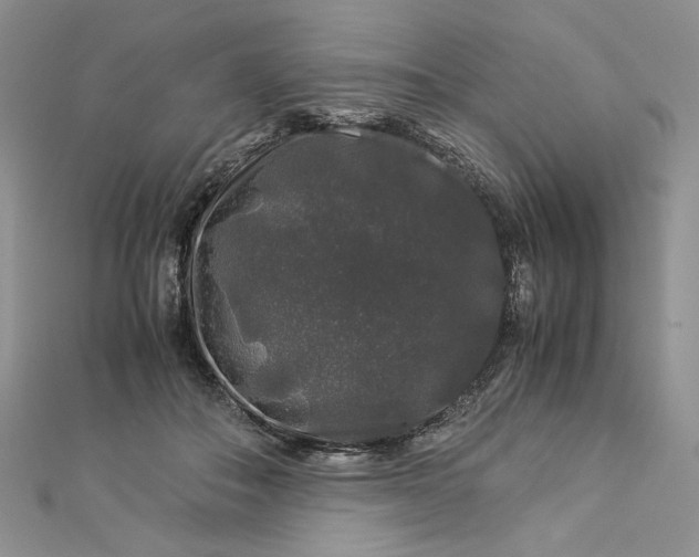 X0000112880506200909041644