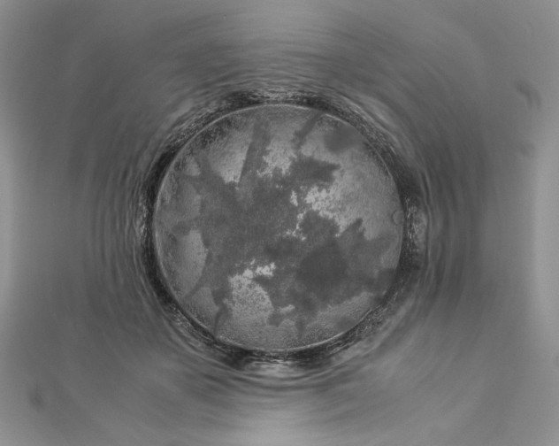 X0000112880507200909041644