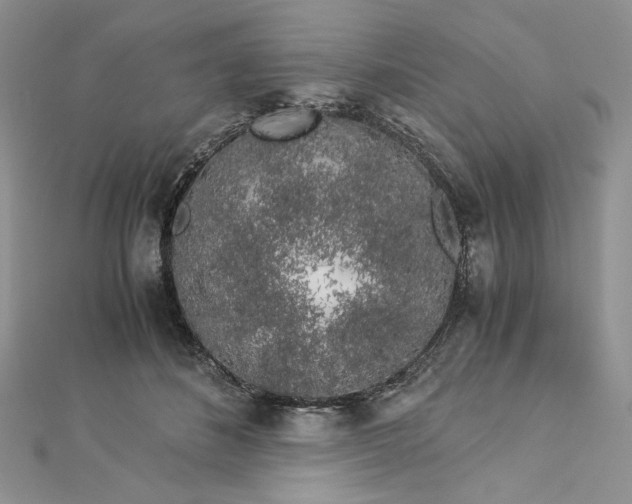 X0000112880508200909041644