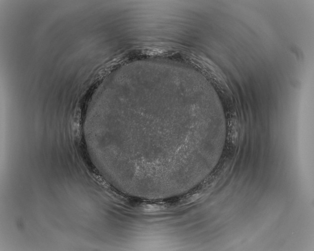 X0000112880510200909041644