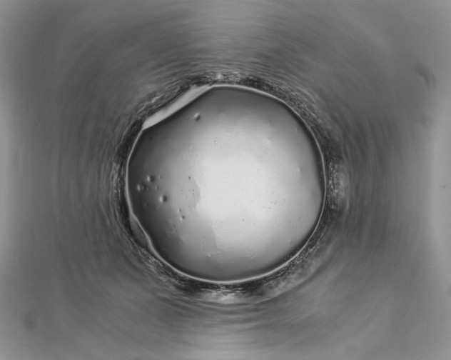 X0000112880511200909041644