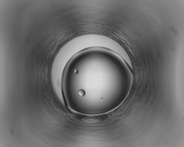 X0000112880512200909041644