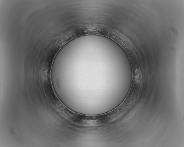 X0000112880514200909041644