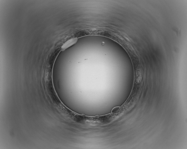 X0000112880515200909041644